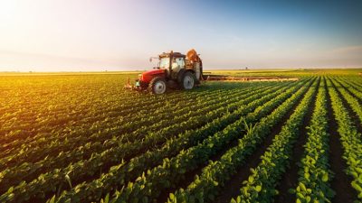 Agriculture Jobs