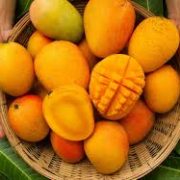 Kesar mango