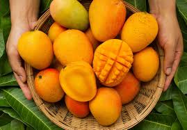 Kesar mango